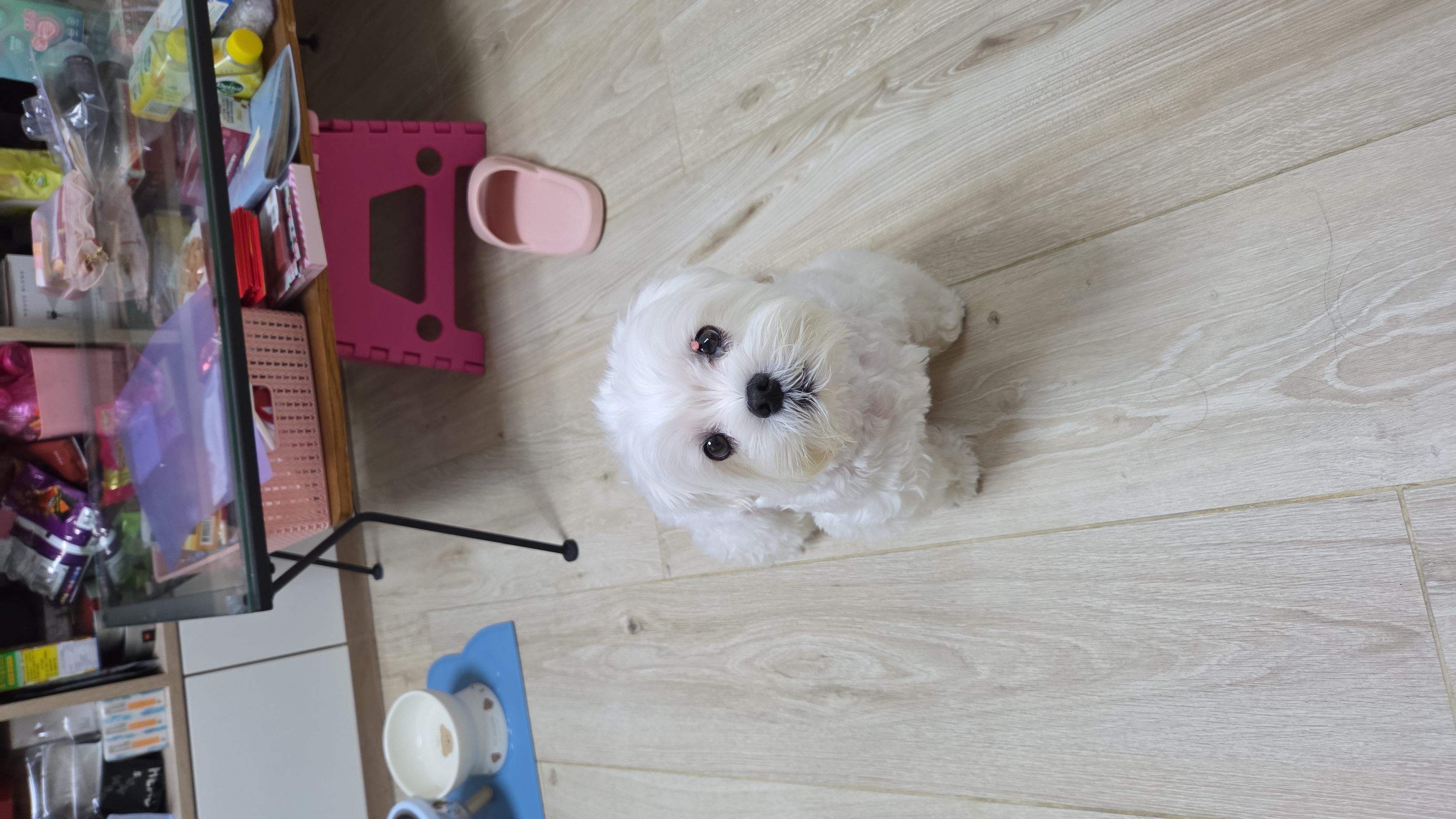 paopao