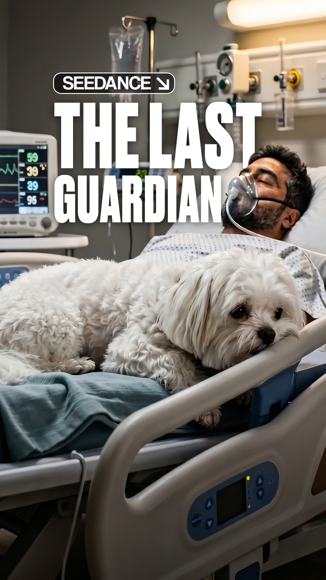 The Last Guardian 🤍