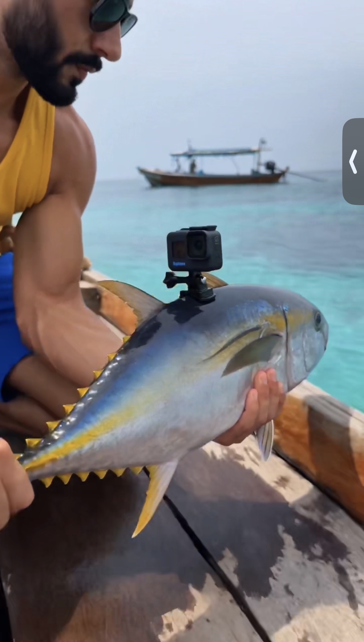 🐠