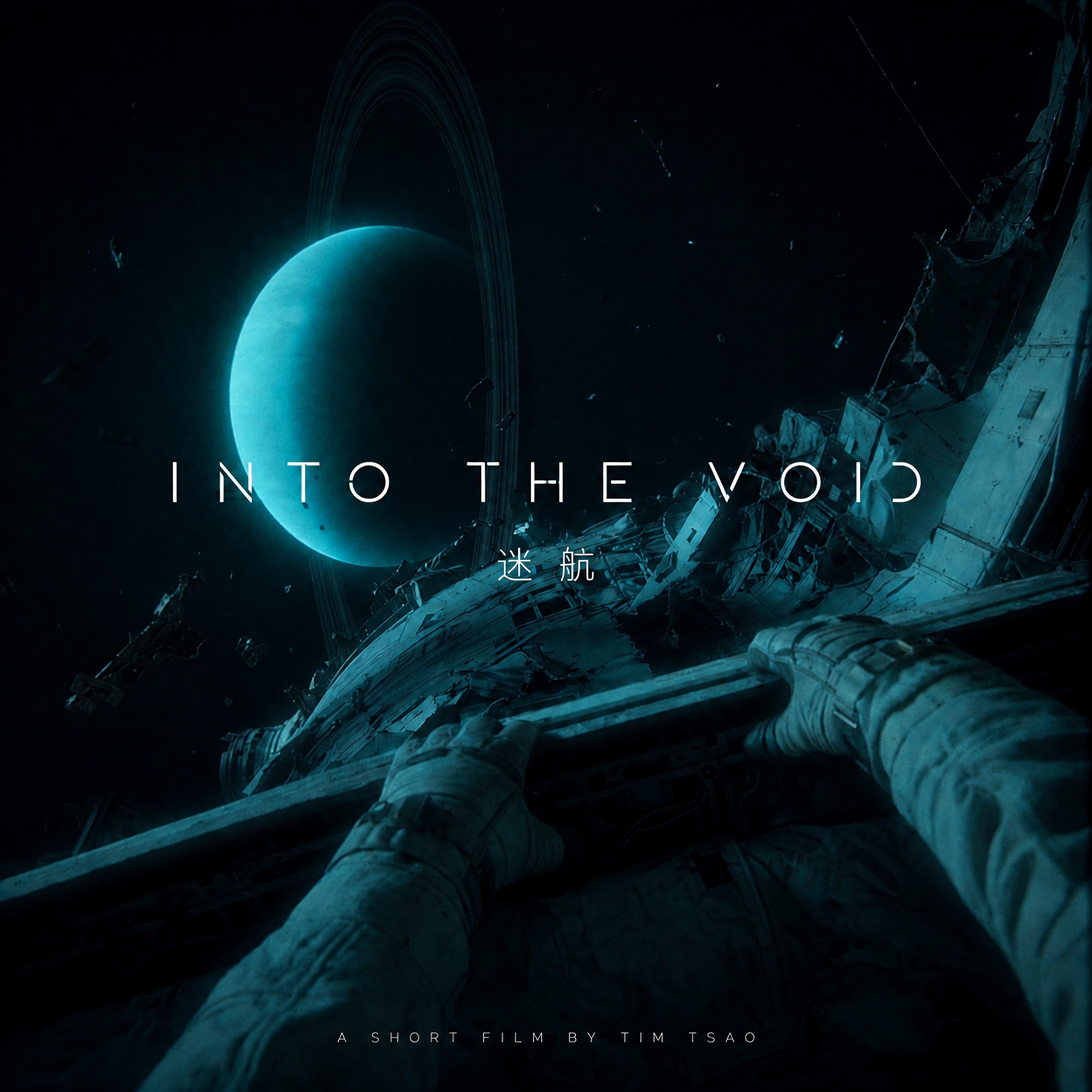 INTO THE VOID