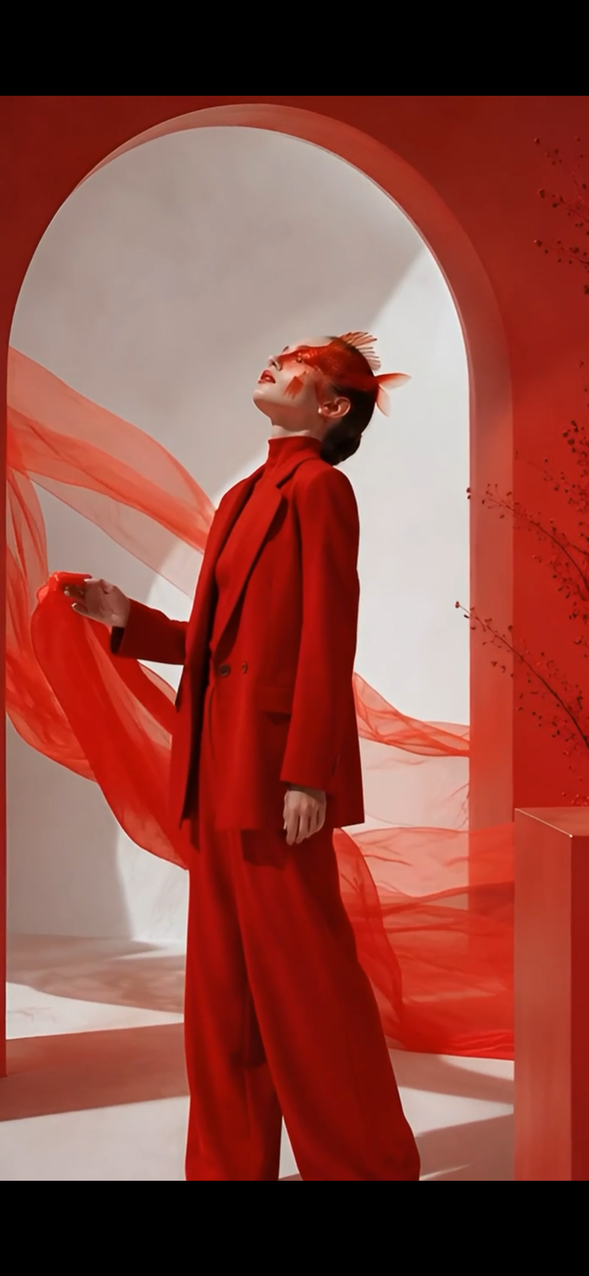 The Red Veil