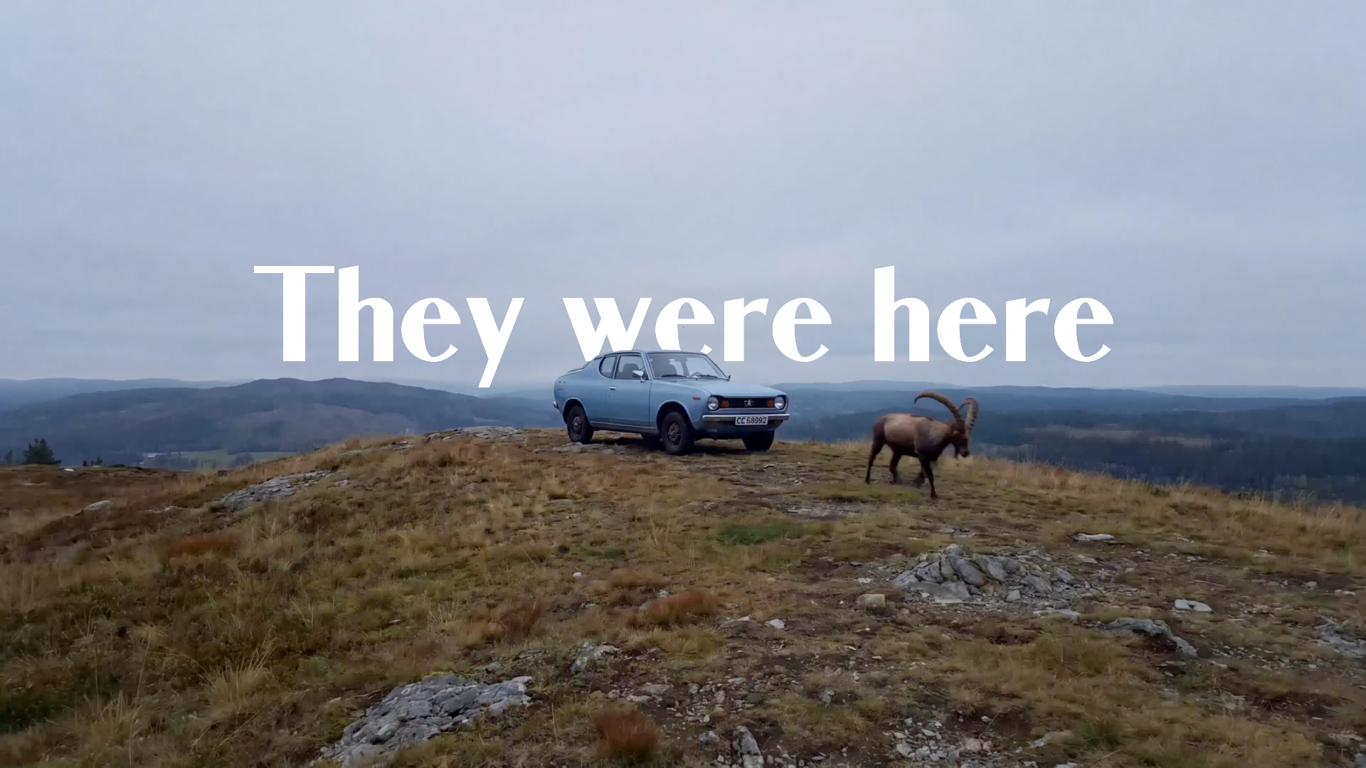 They were here